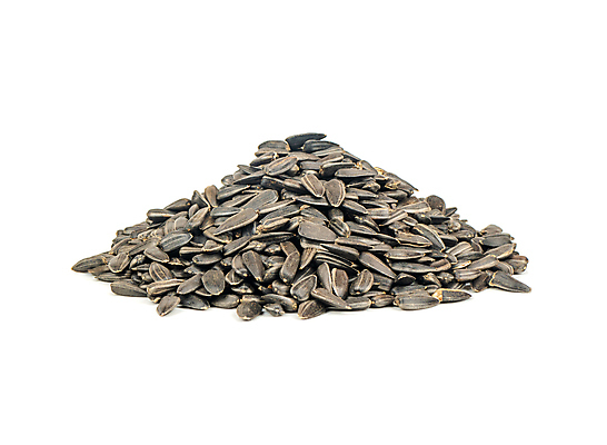 포토 JPG 해외이미지 식물 음식 백그라운드 패턴 농업 다이어트 재료 자연 해바라기 건조 실내 건강 요리 씨앗 사람없음 농작물 쌓기 검은색 견과류 코트 수확 껍질 흰색 최고 그룹 맛 낟알 시리얼 다발 굽기 먹기 유기농 질감 날것 섬유 흙더미 내추럴 고립 꼬투리 채식주의자 많음 해외202309 해외포토 웰빙 꽃 산업 컬러 컨셉 무늬 모션 내부 흙 외투 직물 구이 생태계 채식 파일형식 더미