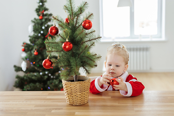 포토 JPG 해외이미지 백인 여자 화분 크리스마스 가족 휴가 한명 들기 상반신 앞모습 크리스마스트리 아기 여자아기한명만 오너먼트 해외202309 해외포토 서양인 1 기념일 뷰포인트 크리스마스장식 관계 모션 사람 여자한명만 여자아기만 파일형식