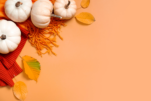 포토 JPG 해외이미지 식물 음식 백그라운드 채소 오렌지 호박 추상 휴가 건강 사람없음 야외 장식 컬러풀 노란색 할로윈 수확 흰색 신선 잡기 작음 9월 11월 스웨터 날것 추수감사절 10월 숙성 테마 플랫레이 카피스페이스 비건 해외202309 해외포토 기독교 컬러 상의 무늬 농업 과일 모션 공백 날짜 플랫 크기 채식주의자 파일형식