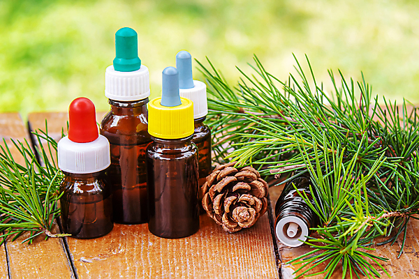 포토 JPG 해외이미지 사람없음 아웃포커스 오일 솔방울 아로마테라피 내추럴 에센스 오일병 해외202309 해외포토 음식 촬영기법 화장품 테라피 파일형식