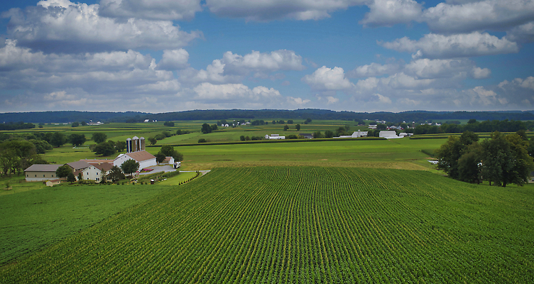 포토 JPG 해외이미지 식물 지구 음식 백그라운드 패턴 밭 농업 자연 안테나 옥수수 풍경 사람없음 야외 초록색 여름 농작물 농장 농경지 노란색 환경 농사 봄 수확 성장 시골 땅 밀 만취 유기농 내추럴 항공촬영 드론 밭일 조감도 수평선 세련 해외202309 해외포토 웰빙 계절 산업 뷰포인트 컬러 무늬 통신 곡류 생태계 술취함 파일형식