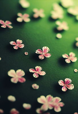 포토 JPG 해외이미지 템플릿 전통 문화 백그라운드 패턴 인터넷 통신 벽지 모바일 추상 휴가 사람없음 스마트폰 핸드폰 세트 컬러풀 뷰티 3D 디지털 스크린 일본 웹 행운 재산 성자 어플리케이션 소프트포커스 수집 심볼 오브젝트 질감 레이아웃 UI 강렬 마케팅 블러 엘리먼트 인터페이스 터치스크린 목업 미니멀 해외202309 해외포토 아시아 종교 컬러 컨셉 무늬 촬영기법 금융 전자제품 스마트기기 디지털합성 파일형식