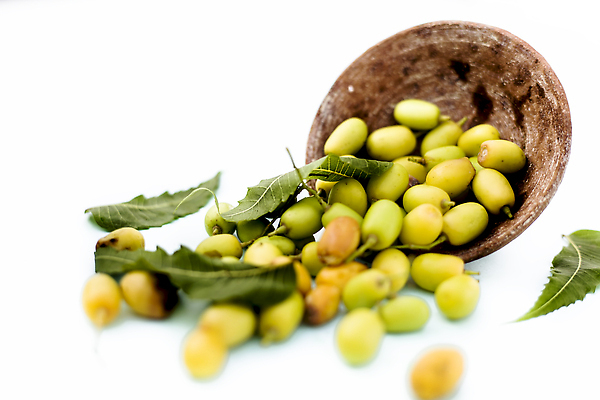 포토 JPG 해외이미지 잎 농업 휴식 귤 건강 사람없음 초록색 약 건강관리 스파 화장품 약재 나뭇가지 약초 자르기 인도인 약국 날것 자연백그라운드 농약 치료제 해외202309 해외포토 외국인 나무 식물 산업 컬러 백그라운드 컨셉 과일 의학 모션 자연 관리 동양인 뷰티 풀_식물 파일형식