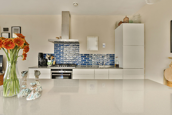 포토 JPG 해외이미지 꽃 화분 가구 액자 창문 실내 사람없음 내부 인테리어 주방 방 가스레인지 타일 냉장고 리빙 해외202309 해외포토 식물 디자인 생활용품 가전제품 레인지 파일형식