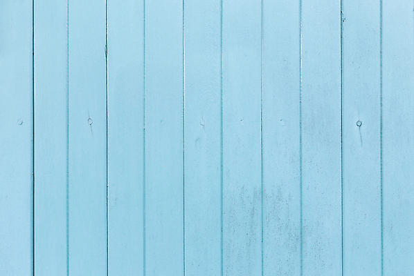 포토 JPG 해외이미지 나무 하늘색 사람없음 질감 카피스페이스 나무배경 해외202309 해외포토 식물 백그라운드 파란색 공백 파일형식