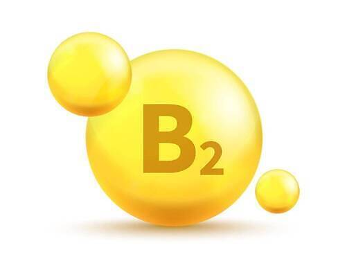EPS 해외이미지 배너 백그라운드 오렌지 일러스트 공 유리 그래픽 세트 뷰티 알약 노란색 3D 화장품 거품 원형 액체 황금 E 떨어짐 기름 B 심볼 피부 비타민 C K D 내추럴 보충 고립 멀티 복잡 여의주 오메가 칼슘 벡터 해외202309 해외일러스트 도형 알파벳 음식 컬러 컨셉 과일 재질 신체부위 약 디지털합성 영양소 파일형식