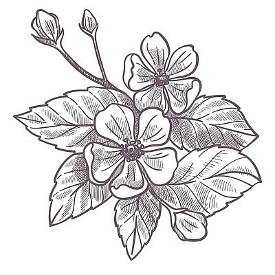 EPS 해외이미지 식물 계절 열매 꽃 음식 잎 농업 과일 일러스트 재료 자연 딸기 디저트 흑백 건강 여름 농작물 농장 농경지 정원 농사 봄 수확 성장 시골 신선 달콤 맛 스케치 상쾌 유기농 원예 윤곽 내추럴 밭일 온실 채식주의자 벡터 해외202309 해외일러스트 웰빙 감정 산업 컨셉 촬영기법 미술 취미 생태계 채식 파일형식