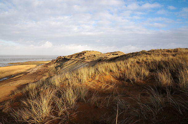 포토 JPG 해외이미지 식물 유럽 여행 자연 하늘 휴식 독일 파노라마 사람없음 야외 환경 봄 생태계 내추럴 해외202309 해외포토 계절 나라 컨셉 촬영기법 파일형식