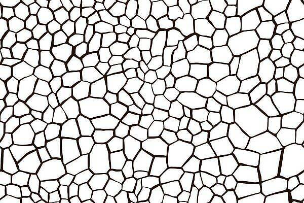 EPS 해외이미지 디자인 실루엣 벽 백그라운드 패턴 일러스트 자연 추상 벽돌 미술 그래픽 검은색 어둠 손상 고통 수확 조약돌 바위 거친 균열 파편 천 고민 질감 복고 시멘트 먼지 덮기 그런지 땅바닥 엘리먼트 옛날 벡터 국경 해외202309 해외일러스트 감정 컬러 컨셉 무늬 농업 모션 문화예술 바닥 촬영기법 돌_바위 직물 생태계 파일형식