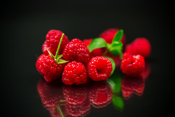 포토 JPG 해외이미지 식물 라이프스타일 계절 열매 음식 백그라운드 잎 과일 재료 자연 디저트 실내 건강 사람없음 빨간색 세트 우주 주방 검은색 신선 달콤 유기농 날것 산딸기 슛 내추럴 고립 숙성 채식주의자 해외202309 해외포토 웰빙 컬러 내부 생활 맛 생태계 채식 파일형식