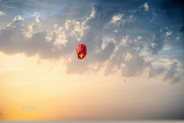 포토 JPG 해외이미지 전통 아시아 종이 문화 하늘 새해 취미 사람없음 빛 컬러풀 축제 황혼 로켓 등불 축하 우승 야간 인도인 연 귀뚜라미 독립기념일 드론 핸드메이드 힌두교 해외202309 해외포토 자연요소 외국인 기념일 나라 종교 컬러 곤충 컨셉 조명 동양인 놀이용품 일몰 최고 독립 파일형식