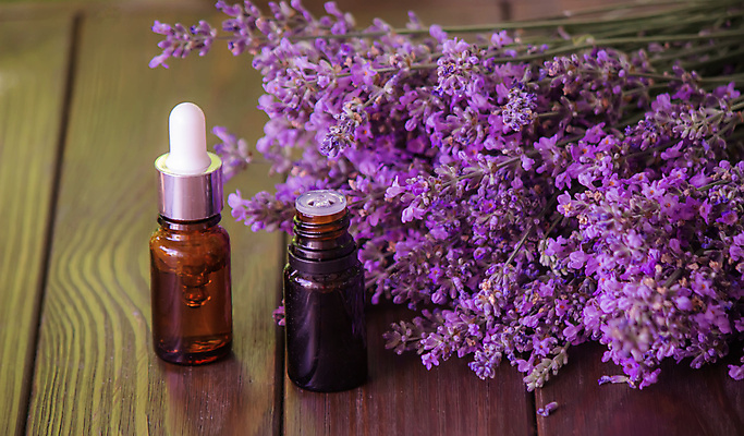 포토 JPG 해외이미지 식물 꽃 백그라운드 꽃무늬 신체 재료 자연 유리 탁자 휴식 건강 사람없음 목재 치료 뷰티 약 보라색 스파 목욕 화장품 흰색 신선 마사지 상품 허브 제비꽃 향수 피부관리 유기농 향기 아로마 향 아로마테라피 테라피 라벤더 조제 내추럴 돌봄 에센스 위생관리 해외202309 해외포토 나무 웰빙 컬러 가구 컨셉 무늬 의학 모션 재질 관리 청결 생태계 냄새 만들기 파일형식