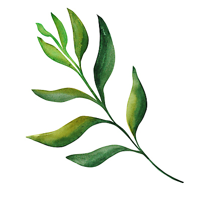 포토 JPG 해외이미지 클립아트 식물 디자인 꽃 포스터 꽃다발 결혼 잎 꽃무늬 패턴 일러스트 자연 벽지 추상 미술 사람없음 그래픽 장식 세트 벚꽃 직물 신용카드 생일 인쇄 만화 스케치 수집 배열 꽃집 그림 유기농 질감 엽서 손그림 고립 구성 엘리먼트 스타일 해외202309 해외일러스트 웰빙 기념일 무늬 문화예술 이벤트 금융 상점 편지 생태계 파일형식