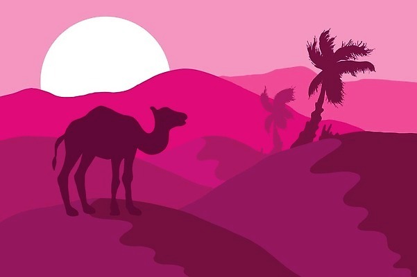 EPS 해외이미지 나무 동물 디자인 실루엣 포스터 야생동물 모래 분홍색 컬러 백그라운드 일러스트 포유류 아프리카 벽지 하늘 산 흑백 파노라마 손바닥 미술 풍경 경사 야외 그래픽 일출 환경 일몰 사막 플랫 만화 땅 언덕 그림 심플 장면 낙타 손그림 스카이라인 사하라 내추럴 수평선 벡터 미니멀리스트 미니멀 해외202309 해외일러스트 식물 손 나라 문화예술 촬영기법 노을 파일형식