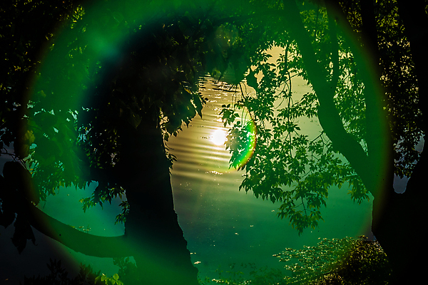 포토 JPG 해외이미지 디자인 컬러 백그라운드 모션 벽지 하늘 추상 사람없음 빛 컬러풀 햇빛 태양 뷰티 에너지 광선 원형 황금 야간 소프트포커스 폭발 질감 보케 부드러움 마법 스포트라이트 후광 빛망울 노려봄 내추럴 광 블러 광학 환상 효과 해외202309 해외포토 자연요소 도형 컨셉 무늬 촬영기법 표정 감각 파일형식