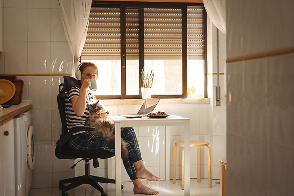 포토 JPG 해외이미지 백인 직업 라이프스타일 웰빙 여자 안경 커피 비즈니스 창문 발 탁자 아침 주택 실내 건강 한명 앉기 성인 노트북 빛 스마트폰 반려동물 주방 헤드폰 고양이 업무 비즈니스우먼 달콤 주말 솜털 프리랜서 혼자 맛있는 해외202309 해외포토 주간 서양인 동물 1 잡화 음료 음향기기 가구 포유류 모션 사람 내부 건물 생활 신체부위 전자제품 핸드폰 스마트기기 작업 직장인 맛 파일형식