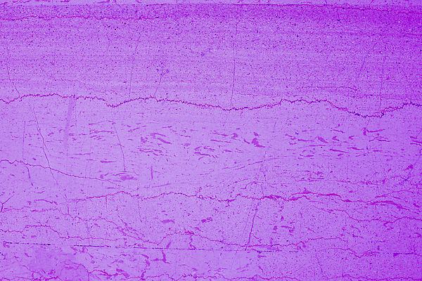 포토 JPG 해외이미지 디자인 벽 컬러 백그라운드 패턴 건축양식 표면 날씨 추상 거리 프레임 미술 사람없음 장식 빛 유행 보라색 페인트 공백 수확 골동품 도시 얼룩 거친 묘사 질감 네온 시멘트 먼지 그런지 깨짐 석고 옛날 콘크리트 노화 비어있는 해외202309 해외포토 건축 컨셉 무늬 농업 문화예술 파일형식