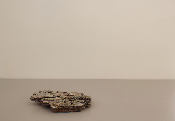 포토 JPG 해외이미지 템플릿 배너 자연 추상 사람없음 야외 뷰티 우주 환경 화장품 공백 무대 상품 전시회 받침대 에코 친환경 진열장 단상 내추럴 마케팅 지휘대 콘크리트 파스텔톤 목업 카피스페이스 비어있는 해외202309 해외포토 컬러 무늬 전시 생태계 파일형식