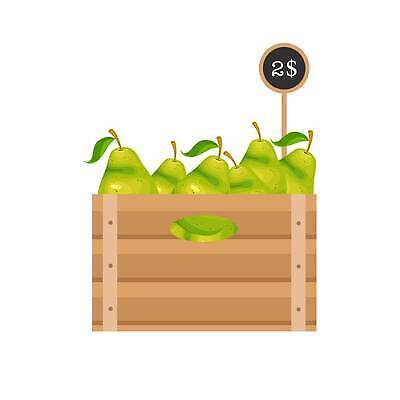 EPS 해외이미지 디자인 음식 백그라운드 농업 과일 일러스트 자연 건강 목재 그래픽 초록색 농작물 상자 농장 꼬리표 라벨 수확 가을 흰색 신선 오픈 플랫 가격 나무상자 컨테이너 만화 심볼 오브젝트 유기농 정사각형 패키지 내추럴 판지 고립 숙성 엘리먼트 채식주의자 벡터 해외202309 해외일러스트 도형 나무 웰빙 계절 산업 컬러 재료 프레임 생태계 채식 파일형식