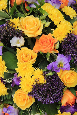 포토 JPG 해외이미지 꽃 결혼 꽃무늬 오렌지 사람없음 장식 컬러풀 장미 노란색 보라색 배열 섞기 해외202309 해외포토 식물 컬러 무늬 과일 이벤트 파일형식