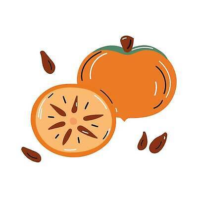 EPS 해외이미지 클립아트 음식 스티커 다이어트 오렌지 과일 일러스트 재료 건강 감 그래픽 장식 초록색 컬러풀 갈색 직물 신선 달콤 낙서 인쇄 스케치 먹기 심볼 메뉴 에코 유기농 날것 심플 손그림 고립 숙성 엘리먼트 채식주의자 벡터 방식 비건 해외202309 해외일러스트 웰빙 컬러 모션 미술 환경 맛 채식 파일형식