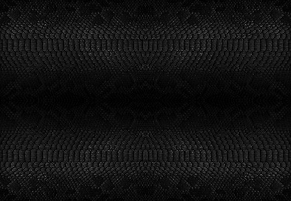 포토 JPG 해외이미지 동물 디자인 백그라운드 패턴 파충류 벽지 표면 추상 미술 사람없음 유행 우주 검은색 어둠 수확 직물 거친 뱀 고급 인쇄 가죽 피부 묘사 질감 눈금 도마뱀 악어 트레일러 내추럴 소가죽 이국적 인공 인트로 해외202309 해외포토 컬러 컨셉 무늬 농업 문화예술 신체부위 파일형식