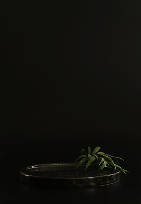 포토 JPG 해외이미지 백그라운드 잎 사람없음 검은색 공간 원형 단상 포디움 해외202309 해외포토 도형 식물 컬러 무대 파일형식