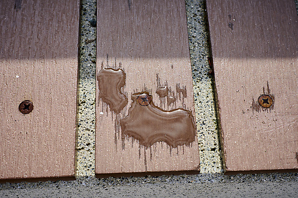 포토 JPG 해외이미지 안경 길 컬러 가구 잎 의자 벽지 표면 아침 날씨 휴식 앉기 잔디 사람없음 목재 가로 반사 평화 침묵 젖음 흐름 수확 물방울 등불 도시 액체 황금 고독 떨어짐 빗방울 타일 순수 질감 정사각형 보케 다이아몬드 장면 10월 비어있는 해외202309 해외포토 주간 도형 나무 식물 잡화 감정 생활용품 컨셉 농업 재료 모션 조명 소리 비_날씨 날짜 보석 파일형식