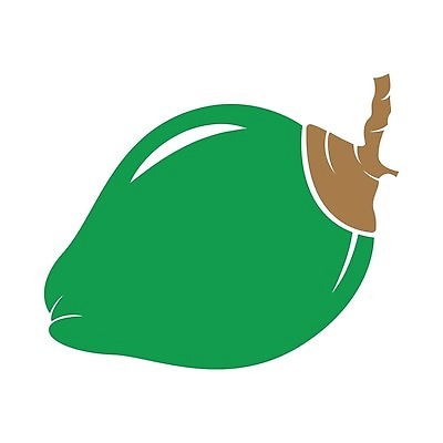 EPS 해외이미지 식물 음료 음식 잎 과일 일러스트 자연 건강 손바닥 물 여름 견과류 신선 기름 유기농 코코넛 이국적 채식주의자 해외202309 해외일러스트 자연요소 손 웰빙 계절 생태계 채식 파일형식 벡터