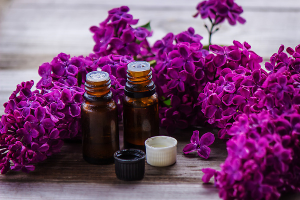 포토 JPG 해외이미지 식물 라이프스타일 웰빙 배너 꽃 분홍색 꽃다발 백그라운드 꽃무늬 신체 자연 유리 휴식 건강 사람없음 목재 치료 뷰티 약 보라색 스파 봄 벚꽃 흰색 신선 마사지 약국 소중 허브 향수 준비 향기 아로마 아로마테라피 테라피 라일락 내추럴 돌봄 에센스 추출 카피스페이스 해외202309 해외포토 나무 계절 컬러 컨셉 무늬 재료 의학 모션 재질 생활 화장품 공백 생태계 냄새 파일형식