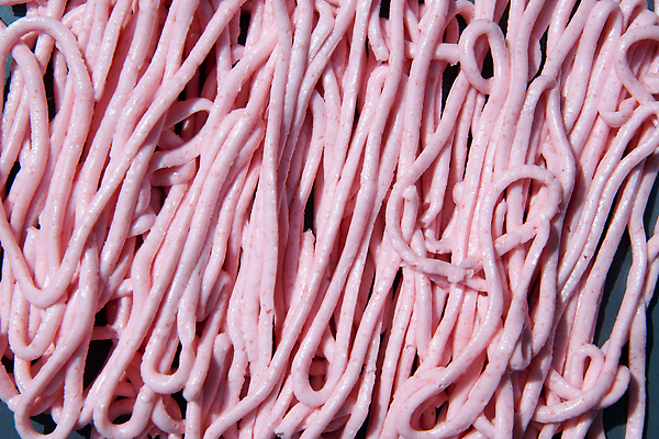 포토 JPG 해외이미지 전통 접시 유럽 클리핑패스 음식 바다 분홍색 컬러 다이어트 재료 추상 건강 요리 사람없음 계란 일본 샐러드 신선 먹기 레몬 해산물 크림 그리스 질감 반죽 서빙 칼로리 무침 그리스인 오리지널 캐비아 핸드메이드 스타일 맛있는 해외202309 해외포토 서양인 식기 나라 아시아 무늬 과일 식재료 모션 알 파일형식