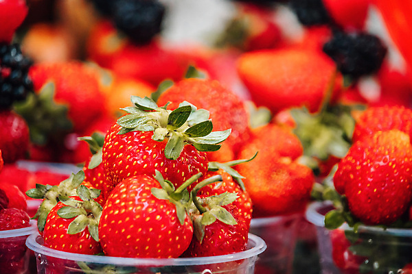 포토 JPG 해외이미지 과일 포장 딸기 사람없음 빨간색 유리그릇 무더기 해외202309 해외포토 그릇 컬러 유리 파일형식