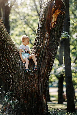 포토 JPG 해외이미지 나무 백인 1 라이프스타일 공원 남자 행복 아들 얼굴 어린이 포즈 자연 놀이 한명 미소 앉기 소년 야외 목재 세로 초록색 여름 금발 맑음 기쁨 게임 나뭇가지 숲 큼 주말 돌봄 옛날 해외202309 해외포토 서양인 식물 헤어스타일 계절 공공시설 감정 컬러 재료 가족 모션 날씨 표정 사람 생활 신체부위 크기 생태계 파일형식