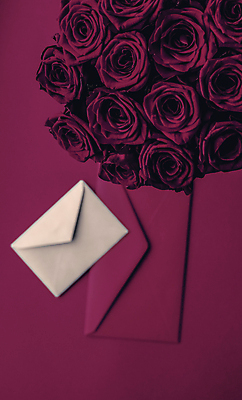 포토 JPG 해외이미지 꽃다발 백그라운드 편지봉투 발렌타인데이 사람없음 장미 러브레터 버건디 해외포토 꽃 데이이벤트 봉투 빨간색 편지 파일형식