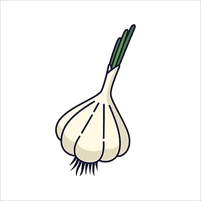 EPS 해외이미지 클립아트 식물 디자인 선 음식 컨셉 스티커 다이어트 채소 일러스트 자연 건강 마늘 미술 그래픽 초록색 정원 수확 시장 플랫 낙서 인쇄 만화 심볼 그림 에코 유기농 코믹 내추럴 고립 엘리먼트 채식주의자 스타일 벡터 비건 해외202309 해외일러스트 웰빙 컬러 농업 문화예술 환경 생태계 채식 파일형식