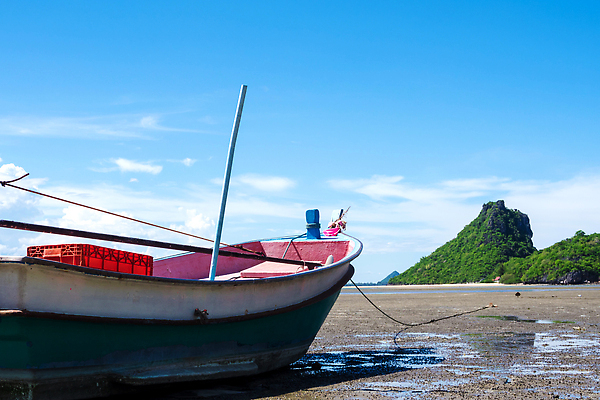 포토 JPG 해외이미지 나무 바다 섬 여행 백그라운드 자연 하늘 휴가 산 사람없음 야외 초록색 물 파란색 뷰티 맑음 소나무 만 보트 해외202309 해외포토 자연요소 식물 컬러 배_교통 날씨 생태계 파일형식