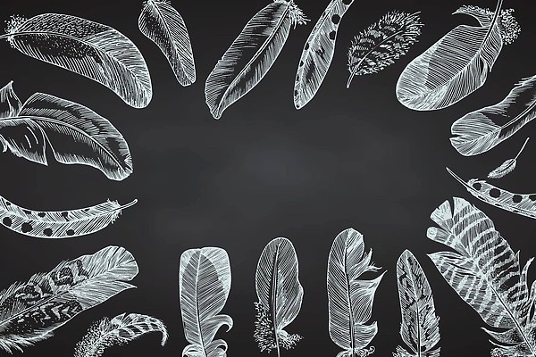 EPS 해외이미지 모양 디자인 배너 선 꽃무늬 패턴 일러스트 자연 조류 추상 프레임 미술 그래픽 세트 펜 검은색 칠판 꿈 낭만 수확 흰색 신용카드 낙서 인쇄 스케치 인도인 문신 심볼 깃털 사인 분필 손그림 마법 포수 부족 아즈텍 히피 스타일 힙스터 벡터 해외202309 해외일러스트 외국인 동물 패션 꽃 컬러 컨셉 무늬 농업 문화예술 동양인 금융 필기구 야구선수 초크 생태계 파일형식