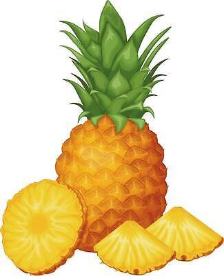 EPS 해외이미지 식물 디자인 음식 조각 백그라운드 잎 다이어트 과일 일러스트 자연 디저트 건강 초록색 여름 세트 노란색 3D 주스 흰색 신선 달콤 맛 떨어짐 자르기 먹기 파인애플 오브젝트 유기농 날것 비타민 내추럴 고립 숙성 엘리먼트 이국적 채식주의자 벡터 현실 맛있는 해외202309 해외일러스트 웰빙 계절 음료 컬러 컨셉 모션 디지털합성 열대과일 생태계 채식 영양소 파일형식