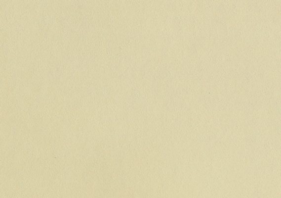 포토 JPG 해외이미지 종이 모래 백그라운드 패턴 표면 새로움 사람없음 빛 갈색 노란색 우주 공백 회색 거친 닫기 큼 낟알 편지 크림 만족 질감 캔버스 페이지 섬유 시트 내추럴 고립 새기다 양피지 진짜 추가 비어있는 해외202309 해외포토 감정 컬러 컨셉 무늬 모션 직물 크기 파일형식