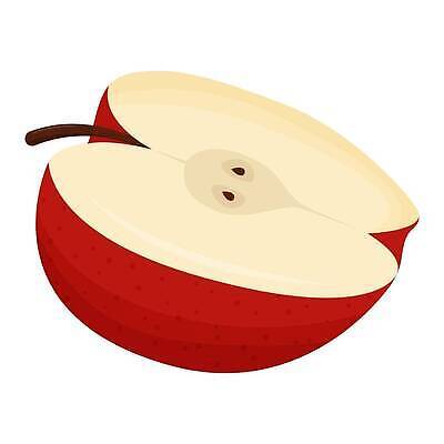 EPS 해외이미지 디자인 배너 음식 백그라운드 잎 다이어트 과일 일러스트 자연 추상 디저트 실내 건강 미술 씨앗 빨간색 여름 주스 신선 플랫 달콤 맛 사과 만화 먹기 심볼 그림 에코 유기농 슬라이스 비타민 내추럴 고립 숙성 채식주의자 벡터 미니멀리스트 비건 맛있는 해외202309 해외일러스트 식물 웰빙 계절 음료 컬러 컨셉 무늬 모션 문화예술 내부 환경 생태계 채식 영양소 파일형식