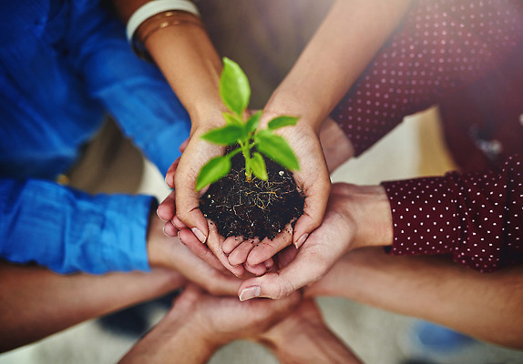포토 JPG 해외이미지 손 들기 신체부위 새싹 자연보호 희망 흙 성장 손모으기 해외202309 해외포토 식물 감정 모션 자연 사람 손짓 보호 파일형식