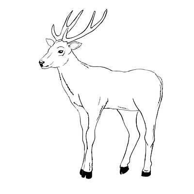 EPS 해외이미지 모양 동물 척추동물 디자인 남자 실루엣 야생동물 백그라운드 패턴 일러스트 포유류 자연 사슴 털 뿔 미술 그래픽 장식 세트 뷰티 머리 디지털 검은색 흰색 황무지 큼 스케치 심볼 오브젝트 사인 그림 클립 윤곽 영양 고립 순록 암사슴 엘리먼트 총구 벡터 해외202309 해외일러스트 컬러 무늬 문화예술 촬영기법 사람 신체부위 크기 암컷 생태계 파일형식