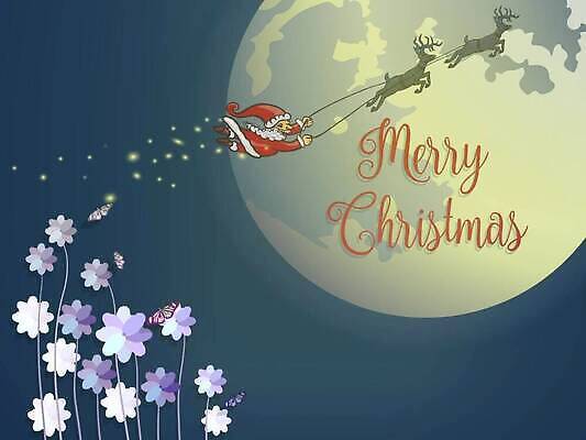 EPS 해외이미지 구름 디자인 계절 꽃 나비 백그라운드 크리스마스 겨울 일러스트 하늘 휴가 사슴 새로움 장식 빨간색 산타클로스 노란색 달 흰색 축하 소나무 신용카드 야간 12월 만화 연도 마법 순록 벡터 클라우스 해외202309 해외일러스트 자연요소 나무 식물 기념일 컬러 곤충 컨셉 포유류 금융 날짜 파일형식