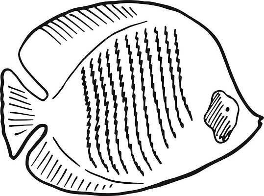 EPS 해외이미지 동물 손 디자인 야생동물 선 음식 바다 백그라운드 일러스트 재료 자연 낚시 잉크 어류 물 식당 검은색 수중 수확 플랫 낙서 상품 스케치 해산물 메뉴 복고 판화 대서양 내추럴 고립 동물상 수경재배 스타일 벡터 해외202309 해외일러스트 자연요소 컬러 농업 레저 미술 신체부위 조형물 상점 수중동물 생태계 파일형식