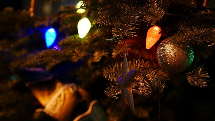 포토 JPG 해외이미지 나무 전통 행복 문화 컬러 크리스마스 휴가 전등 새해 멕시코 여러명 사람없음 장식 컬러풀 파티 축제 미국 화환 축하 소나무 분위기 야간 12월 캘리포니아 히스패닉 전나무 민화 크리스마스이브 가문비나무 스타일 해외202309 해외포토 자연요소 식물 기념일 꽃 감정 다수 컨셉 북아메리카 조명 사람 이벤트 날짜 그림 파일형식