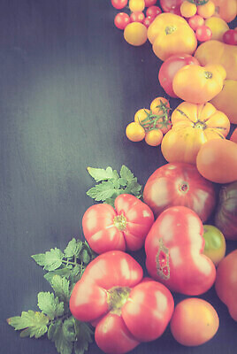 포토 JPG 해외이미지 음식 컬러 백그라운드 농업 토마토 채소 오렌지 과일 재료 탁자 건강 종류 사람없음 목재 빨간색 초록색 뷰티 노란색 수확 흰색 시골 신선 체리 그룹 변화 시장 농부 먹기 오브젝트 유기농 날것 머리위 흙더미 숙성 채식주의자 해외202309 해외포토 나무 직업 웰빙 산업 가구 컨셉 모션 흙 채식 파일형식 더미