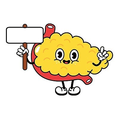 EPS 해외이미지 캐릭터 디자인 행복 포스터 어린이 백그라운드 일러스트 해부 건강 사람 내부 신체부위 약 꼬리표 수확 표현 오르간 플랫 인쇄 만화 심볼 사인 그림 복고 생물학 시스템 췌장 고립 당뇨병 돌봄 마스코트 엘리먼트 벡터 해외202309 해외일러스트 일러캐릭터 교육 감정 농업 의학 모션 라벨 장기_의학 건반악기 질병 파일형식