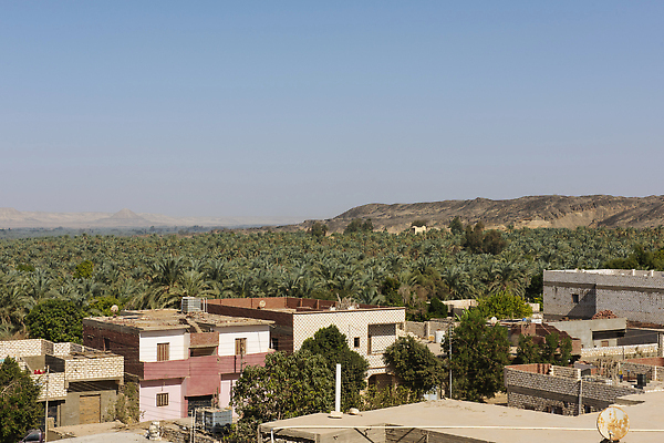 포토 JPG 해외이미지 나무 여행 잎 농업 아프리카 자연 주택 파노라마 이집트 협상 풍경 사람없음 야외 초록색 여름 야자수 뷰티 농장 마을 환경 시골 큼 타운 멀리 내추럴 밭일 오아시스 우울증 해외202309 해외포토 식물 계절 나라 산업 컬러 비즈니스 촬영기법 건물 도시 질병 크기 생태계 파일형식