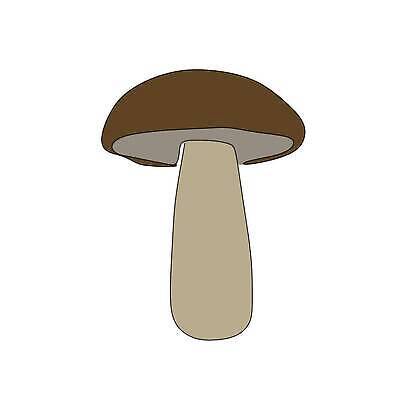 EPS 해외이미지 식물 손 디자인 계절 실루엣 별 선 음식 컬러 꽃무늬 채소 일러스트 재료 자연 미술 세트 검은색 버섯 가을 굴 흰색 낙서 숲 만화 스케치 심볼 사인 유기농 날것 윤곽 손그림 판화 고립 곰팡이 그물버섯 식용 엘리먼트 캡모자 벡터 비건 해외202309 해외일러스트 자연요소 모자_잡화 웰빙 꽃 무늬 문화예술 어패류 촬영기법 신체부위 생태계 채식주의자 파일형식