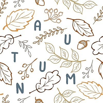 EPS 해외이미지 템플릿 손 디자인 배너 계절 포스터 백그라운드 단풍 잎 오렌지 과일 일러스트 캘리그라피 텍스트 자연 잉크 미술 그래픽 장식 라벨 수확 인사 신용카드 낙서 9월 11월 만화 스케치 편지 수집 심볼 추수감사절 타입 10월 고립 엘리먼트 레터링 벡터 해외202309 해외일러스트 식물 기독교 농업 문화예술 프레임 신체부위 금융 예절 날짜 생태계 파일형식